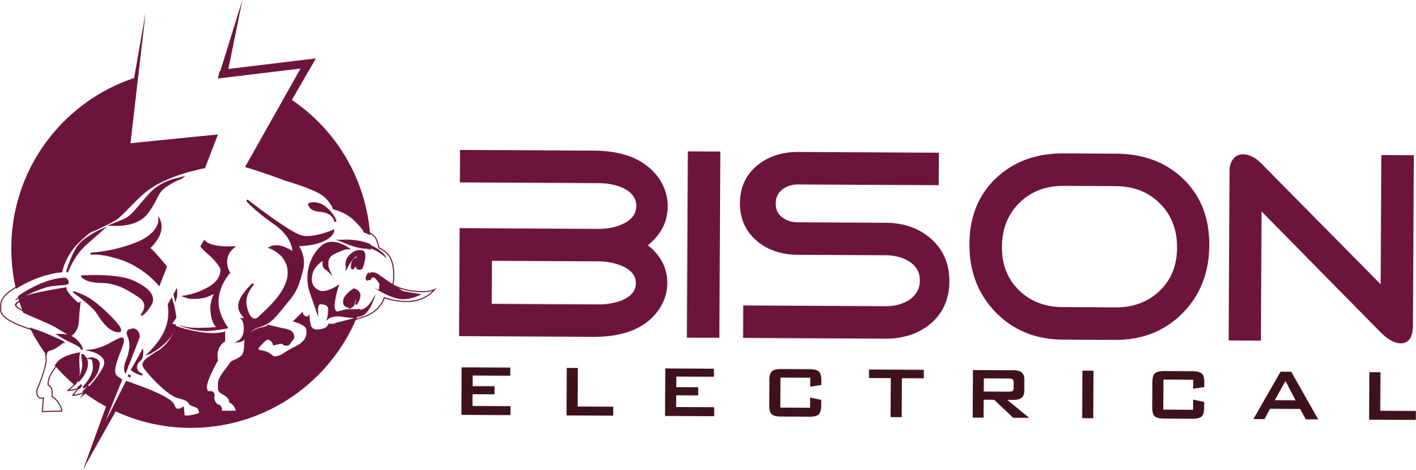 Bison_Logo_1